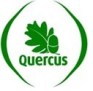 logo quercus